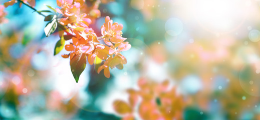 临沂疫情(临沂疫情什么时候解封)