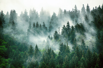 【包头疫情最新消息,包头疫情最新数据】